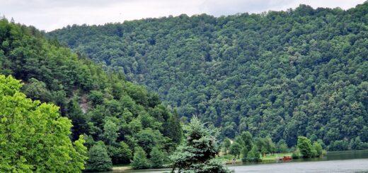 Schlögener Schlinge Donau