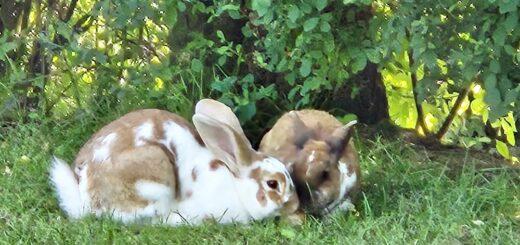 Kumberg Campingplatz WellWelt